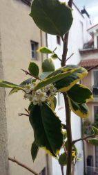 Fotos de la primavera enviadas por los lectores de diariodenavarra.es