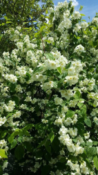 Fotos de la primavera enviadas por los lectores de diariodenavarra.es