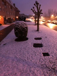 Imágenes de las distintas localidades de Navarra que amanecieron nevadas este martes, 31 de marzo de 2020.