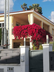 Los lectores de Diario de Navarra posan con la camiseta de sus equipos preferidos durante el confinamiento en sus casa con motivo de la pandemia de coronavirus.