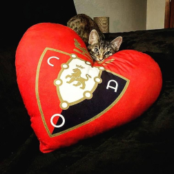 Los lectores de Diario de Navarra posan con la camiseta de sus equipos preferidos durante el confinamiento en sus casa con motivo de la pandemia de coronavirus.