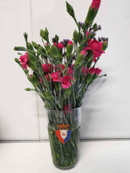 Los lectores de Diario de Navarra posan con la camiseta de sus equipos preferidos durante el confinamiento en sus casa con motivo de la pandemia de coronavirus.