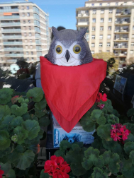 El pañuelo de San Fermín este sábado en todas las ventanas de Navarra. Esa es la idea con la que la capilla de San Fermín hace un llamamiento con motivo del cuarto peldaño de la escalera, este 4 de abril,