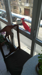 El pañuelo de San Fermín este sábado en todas las ventanas de Navarra. Esa es la idea con la que la capilla de San Fermín hace un llamamiento con motivo del cuarto peldaño de la escalera, este 4 de abril,