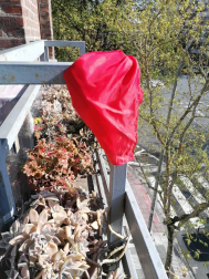 El pañuelo de San Fermín este sábado en todas las ventanas de Navarra. Esa es la idea con la que la capilla de San Fermín hace un llamamiento con motivo del cuarto peldaño de la escalera, este 4 de abril,
