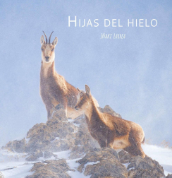 La obra del pamplonés Iñaki Larrea Rastrilla es un canto de amor por los animales y las montañas.