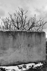 El primer fotógrafo en recibir el Premio Príncipe de Viana recorre su trayectoria a través de fotografías, siempre enclavadas en los lugares donde transcurre la vida normal: “Ni postales, ni cloacas”.