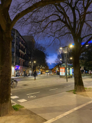 Fotos enviadas por los lectores durante el invierno de 2020-2021.