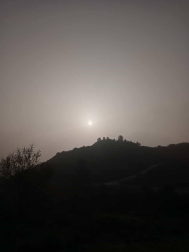 Fotos enviadas por los lectores durante el invierno de 2020-2021.