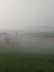 Fotos enviadas por los lectores durante el invierno de 2020-2021.