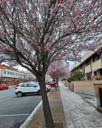 Fotos enviadas por los lectores durante el invierno de 2020-2021.