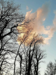 Fotos enviadas por los lectores durante el invierno de 2020-2021.