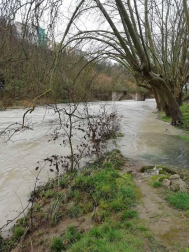 Fotos enviadas por los lectores durante el invierno de 2020-2021.