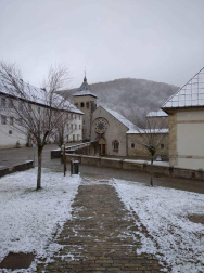 Fotos enviadas por los lectores durante el invierno de 2020.