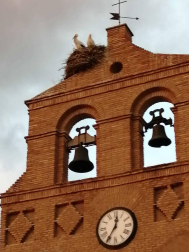 Fotos enviadas por los lectores durante el invierno de 2020.