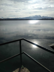 Fotos enviadas por los lectores durante el invierno de 2020.