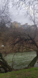 Fotos enviadas por los lectores durante el invierno de 2020.