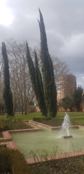 Fotos enviadas por los lectores durante el invierno de 2020.