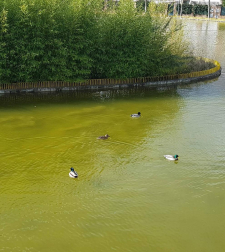 Fotos enviadas por los lectores durante el invierno de 2020.