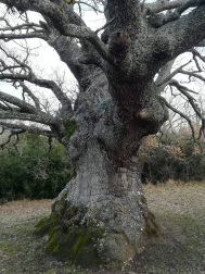 Fotos enviadas por los lectores durante el invierno de 2020.
