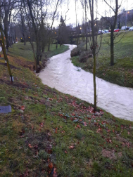 Fotos enviadas por los lectores durante el invierno de 2020.