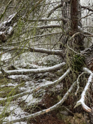 Fotos enviadas por los lectores durante el invierno de 2020.