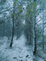 Fotos enviadas por los lectores durante el invierno de 2020.
