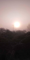 Fotos enviadas por los lectores durante el invierno de 2020.