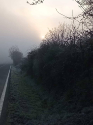 Fotos enviadas por los lectores durante el invierno de 2020.