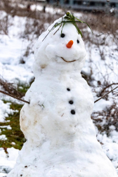 Fotos enviadas por los lectores durante el invierno de 2020.