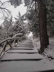 Fotos enviadas por los lectores durante el invierno de 2020.
