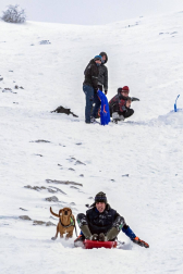Nieve en el inicio de 2021 en Navarra. La nieve es la protagonista este 2 de enero en la Comunidad foral, que se encuentra en alerta amarilla