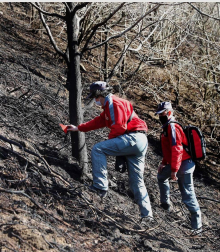Las causas del incendio que se originó en Bera y que ha calcinado 1.800 hectáreas en Navarra, Guipúzcoa y Francia están siendo investigadas por la Policía Foral para determinar si el fuego ha sido fortuito o provocado, aunque parece que la actividad humana está detrás.