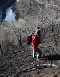 Las causas del incendio que se originó en Bera y que ha calcinado 1.800 hectáreas en Navarra, Guipúzcoa y Francia están siendo investigadas por la Policía Foral para determinar si el fuego ha sido fortuito o provocado, aunque parece que la actividad humana está detrás.