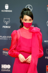 Galería de fotos de la alfombra roja de los Premios Feroz 2021