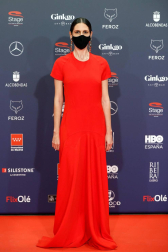 Galería de fotos de la alfombra roja de los Premios Feroz 2021