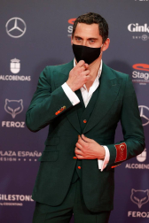 Galería de fotos de la alfombra roja de los Premios Feroz 2021