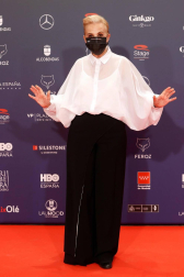 Galería de fotos de la alfombra roja de los Premios Feroz 2021