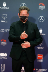 Galería de fotos de la alfombra roja de los Premios Feroz 2021