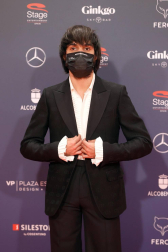 Galería de fotos de la alfombra roja de los Premios Feroz 2021
