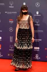 Galería de fotos de la alfombra roja de los Premios Feroz 2021