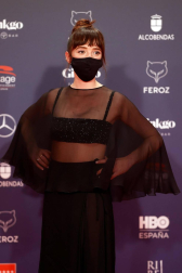 Galería de fotos de la alfombra roja de los Premios Feroz 2021