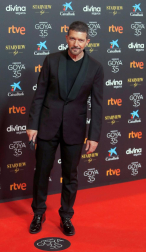 Actores, presentadores y cantantes desfilan por la alfombra roja de los premios Goya 2021.