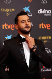 Actores, presentadores y cantantes desfilan por la alfombra roja de los premios Goya 2021.