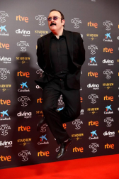 Actores, presentadores y cantantes desfilan por la alfombra roja de los premios Goya 2021.