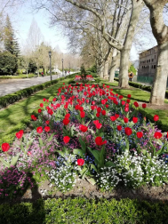 Fotos de la primavera enviadas por los lectores de diariodenavarra.es