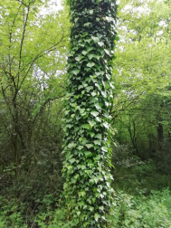 Fotos de la primavera enviadas por los lectores de diariodenavarra.es