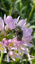 Fotos de la primavera enviadas por los lectores de diariodenavarra.es