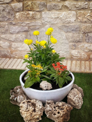 Fotos de la primavera enviadas por los lectores de diariodenavarra.es