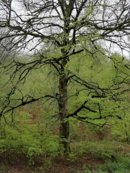 Fotos de la primavera enviadas por los lectores de diariodenavarra.es